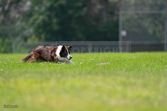 RielVisuals_20240727_115534_SJR04270
