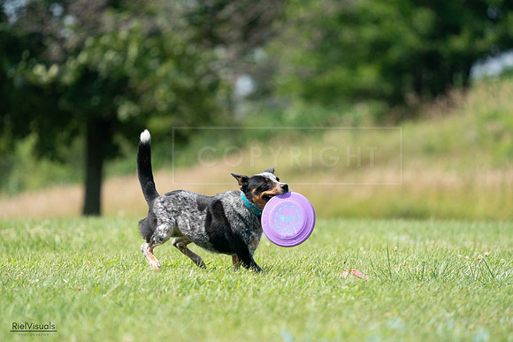 RielVisuals_20240728_145216_SJR09418