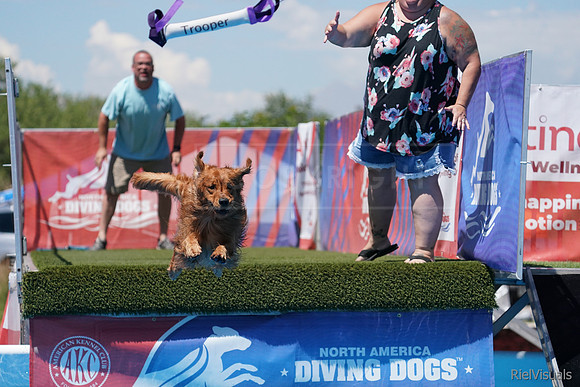 SJR06752