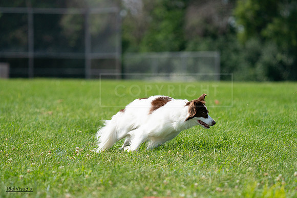 RielVisuals_20240728_121131_SJR03240