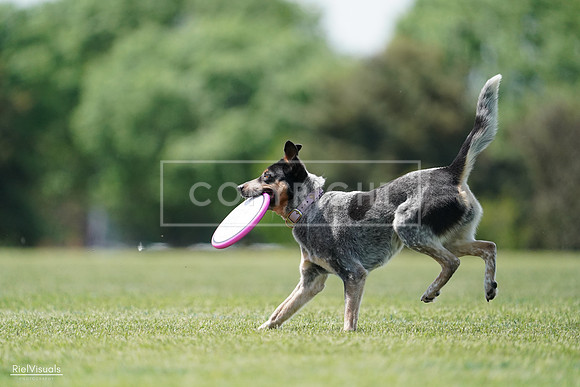 RielVisuals_20240525_122253_SJR09663