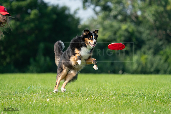 RielVisuals_20240728_100359_SJR07113