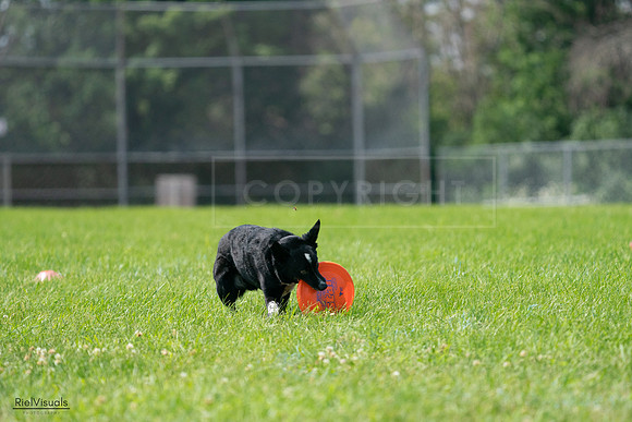 RielVisuals_20240728_115533_SJR02412