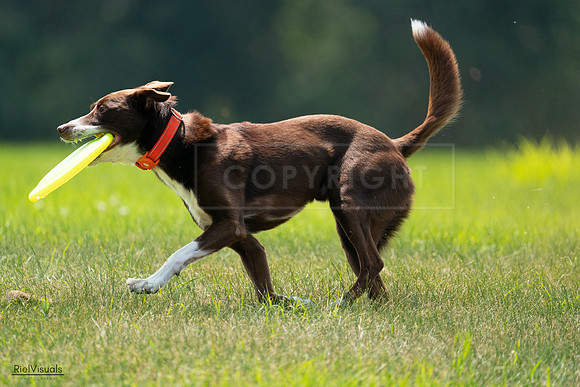 RielVisuals_20240727_121057_SJR04946