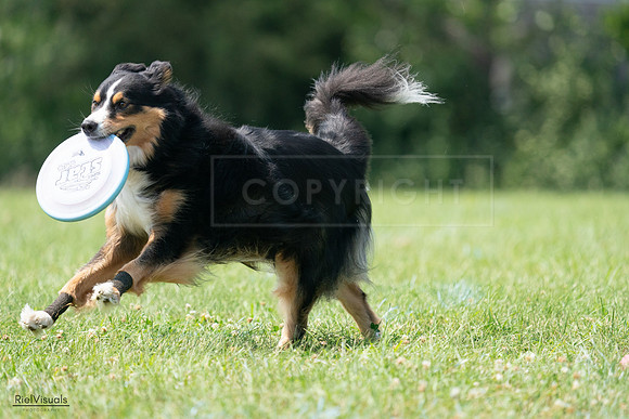 RielVisuals_20240728_143012_SJR08449