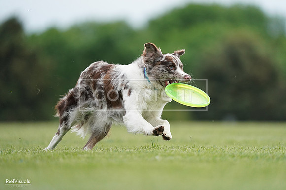 RielVisuals_20240525_161121_SJR03771