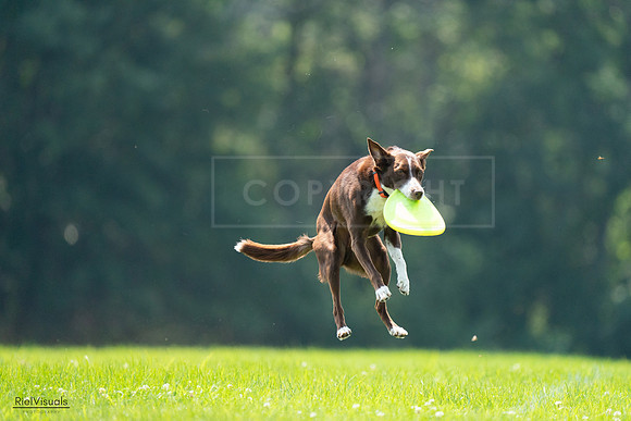 RielVisuals_20240727_121055_SJR04928