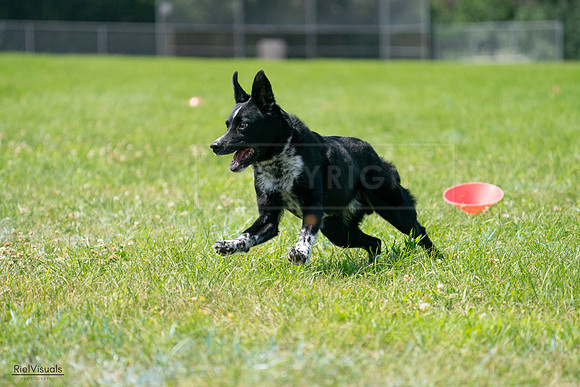 RielVisuals_20240728_115555_SJR02459
