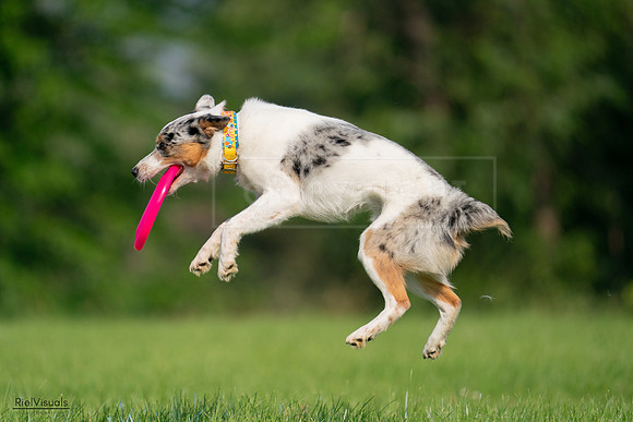 RielVisuals_20240727_092232_SJR06082