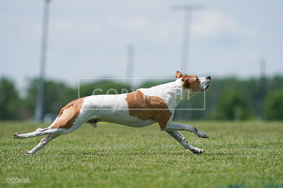 RielVisuals_20240525_121759_SJR09359