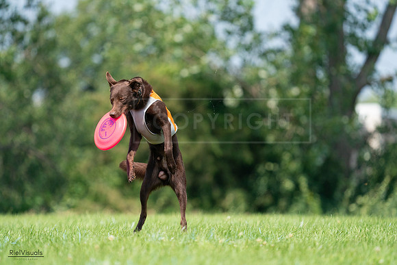 RielVisuals_20240727_114643_SJR03915