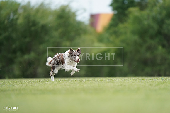 RielVisuals_20240525_161037_SJR03625