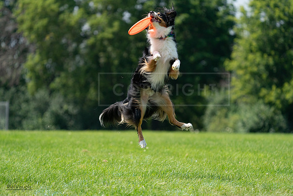 RielVisuals_20240728_121602_SJR03421