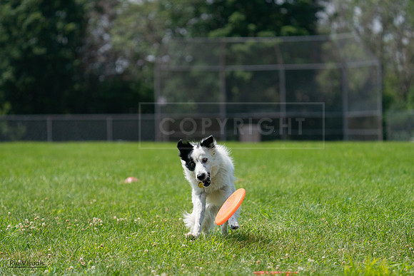 RielVisuals_20240728_121843_SJR03586