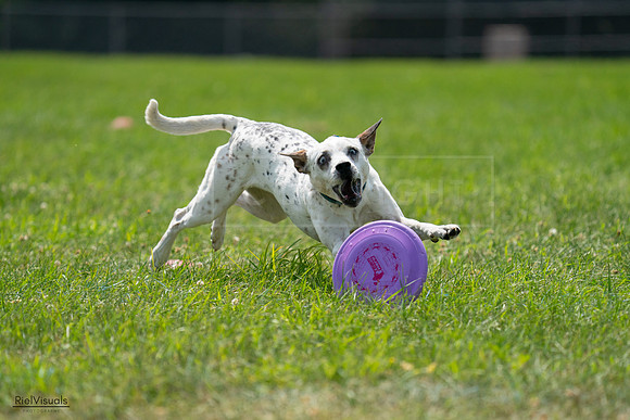 RielVisuals_20240728_140022_SJR07768