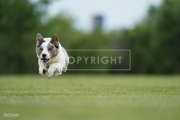 RielVisuals_20240525_161238_SJR03812