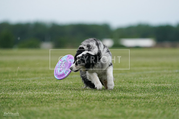 RielVisuals_20240525_163010_SJR04632