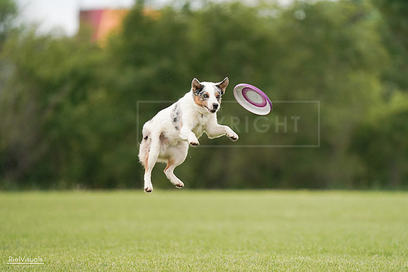 RielVisuals_20240527_140115_SJR01194