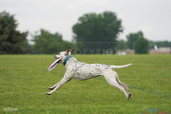 RielVisuals_20240527_105757_SJR02340