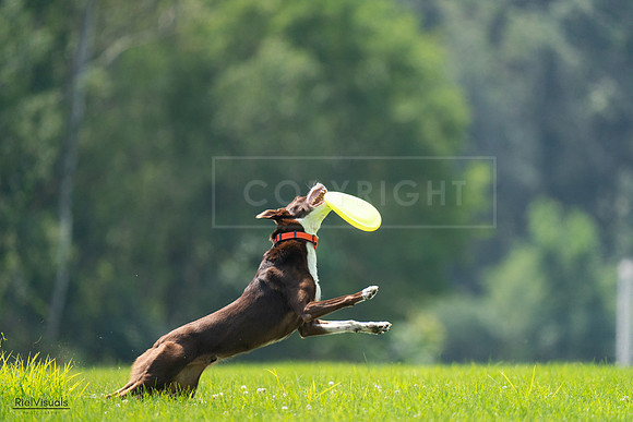 RielVisuals_20240727_123242_SJR05820