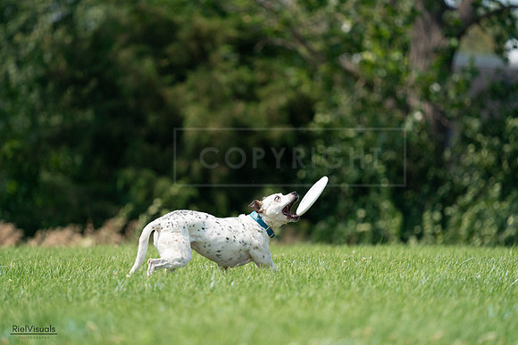 RielVisuals_20240727_134610_SJR08337