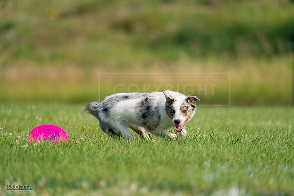 RielVisuals_20240727_092228_SJR06063