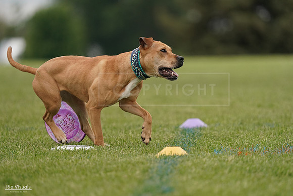 RielVisuals_20240526_135050_SJR09300