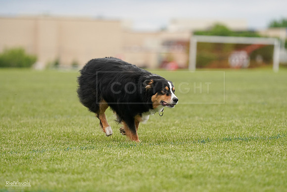 RielVisuals_20240526_135319_SJR09474