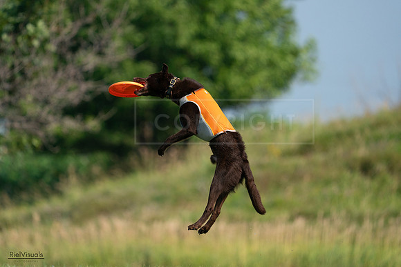 RielVisuals_20240728_095827_SJR06798