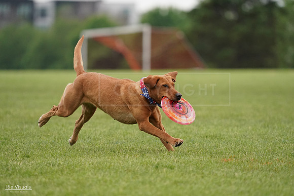 RielVisuals_20240527_113528_SJR03978