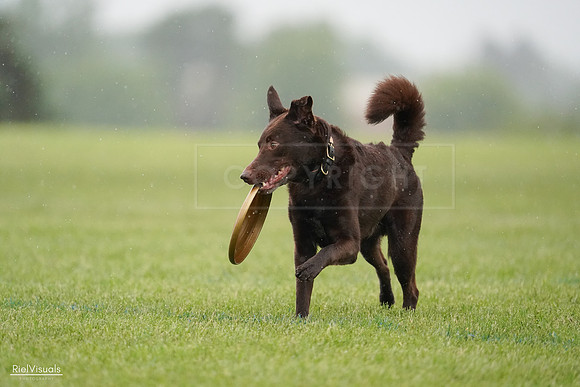 RielVisuals_20240527_104022_SJR01076