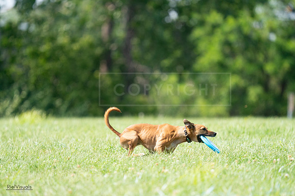 RielVisuals_20240728_150232_SJR09945
