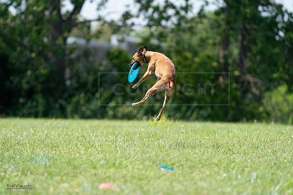RielVisuals_20240728_150148_SJR09827