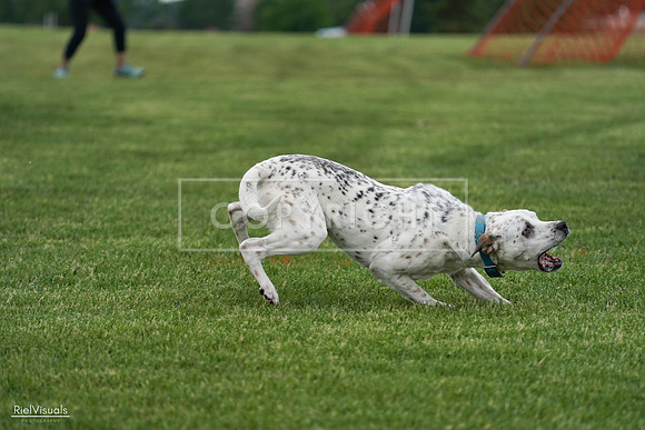 RielVisuals_20240525_171131_SJR06375