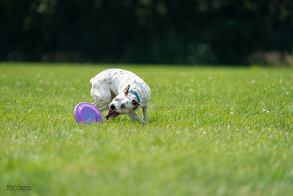 RielVisuals_20240728_140001_SJR07731