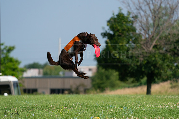 RielVisuals_20240727_092514_SJR06268