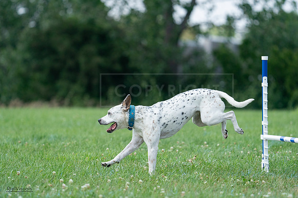 RielVisuals_20240727_145137_SJR01424