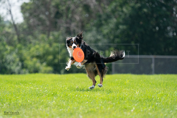 RielVisuals_20240728_133316_SJR06545