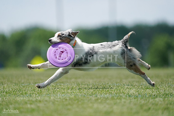 RielVisuals_20240525_121535_SJR09232