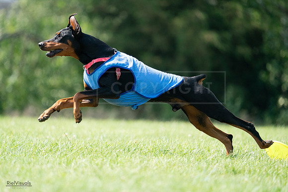 RielVisuals_20240728_151318_SJR00328