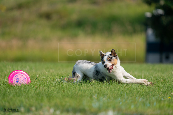 RielVisuals_20240727_092228_SJR06065