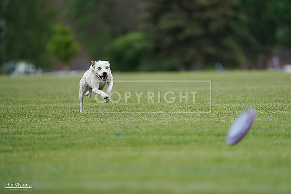 RielVisuals_20240525_171128_SJR06350
