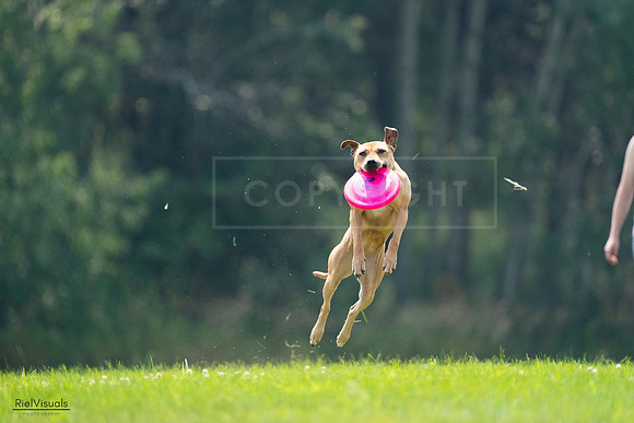 RielVisuals_20240727_121936_SJR05334