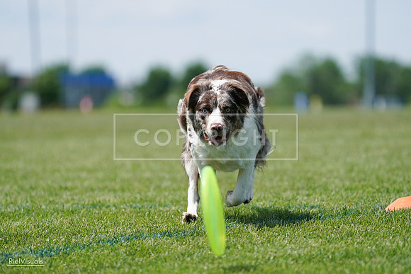 RielVisuals_20240525_120612_SJR08675