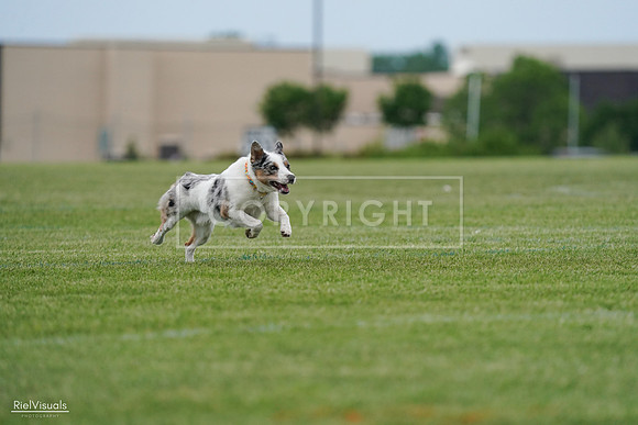 RielVisuals_20240525_165223_SJR05611