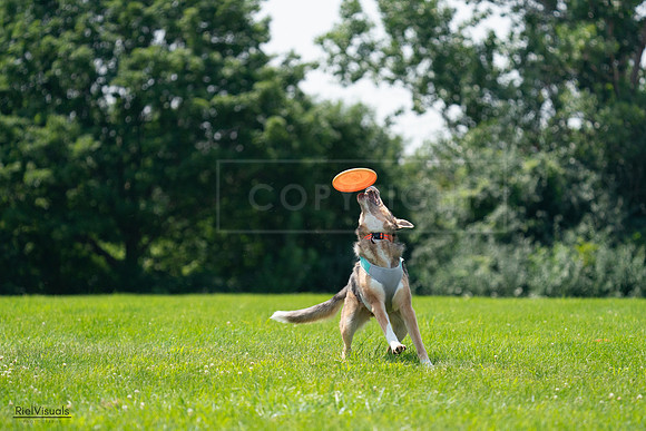 RielVisuals_20240728_124920_SJR04745
