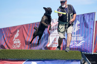 SJR07132