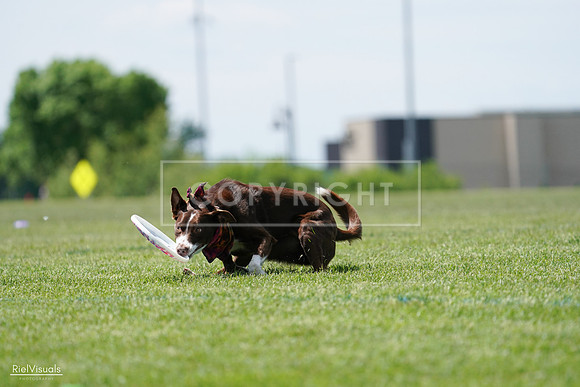 RielVisuals_20240525_122012_SJR09556