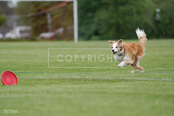 RielVisuals_20240525_170731_SJR06102