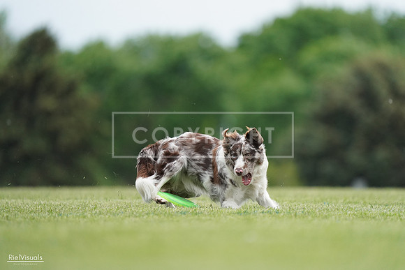 RielVisuals_20240525_161039_SJR03654